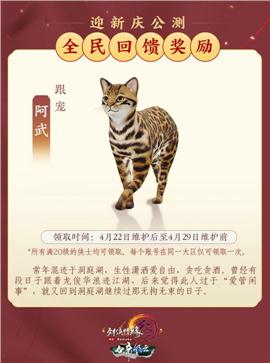 天龙八部2 私服
